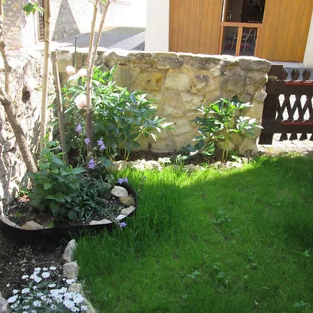 Uebernachten In Der Kaiserpfalz 公寓