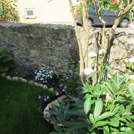 Uebernachten In Der Kaiserpfalz 公寓 *