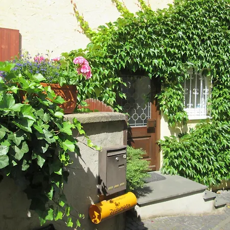 公寓 Uebernachten In Der Kaiserpfalz 英格海姆莱茵