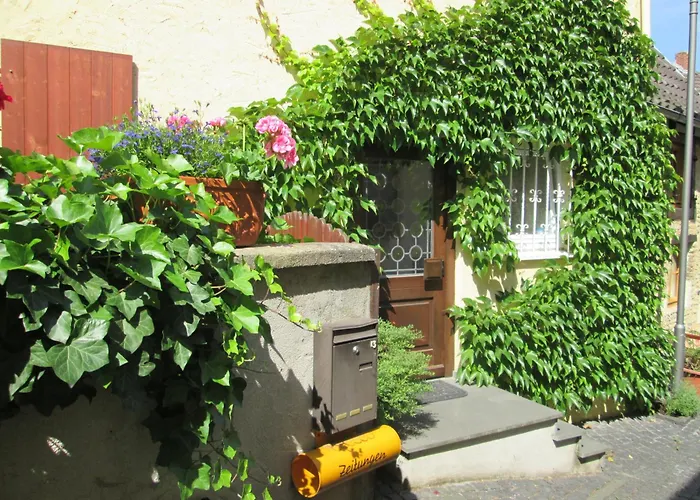 Apartamento Uebernachten In Der Kaiserpfalz Ingelheim am Rhein